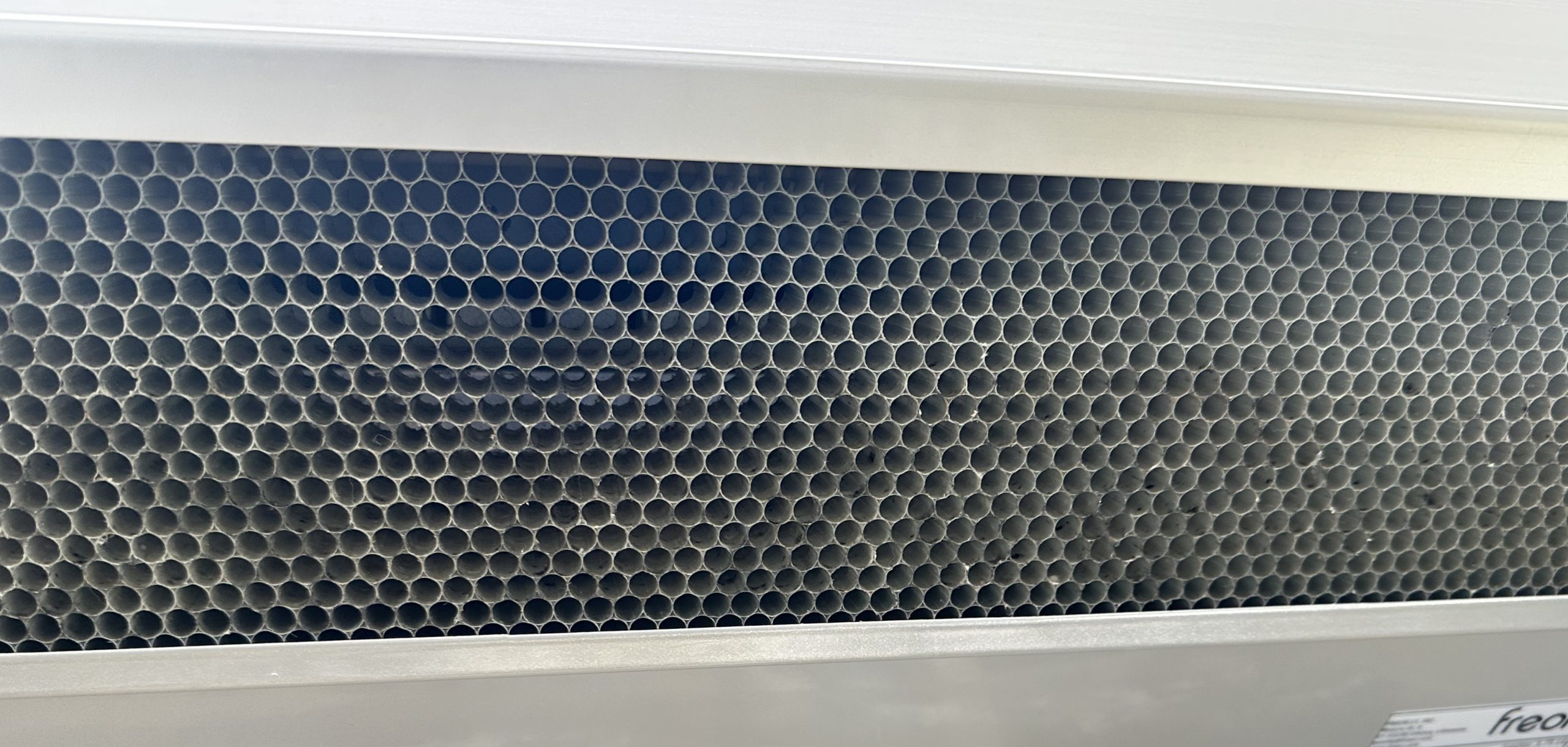 Schimmelspuren auf der Vorderseite