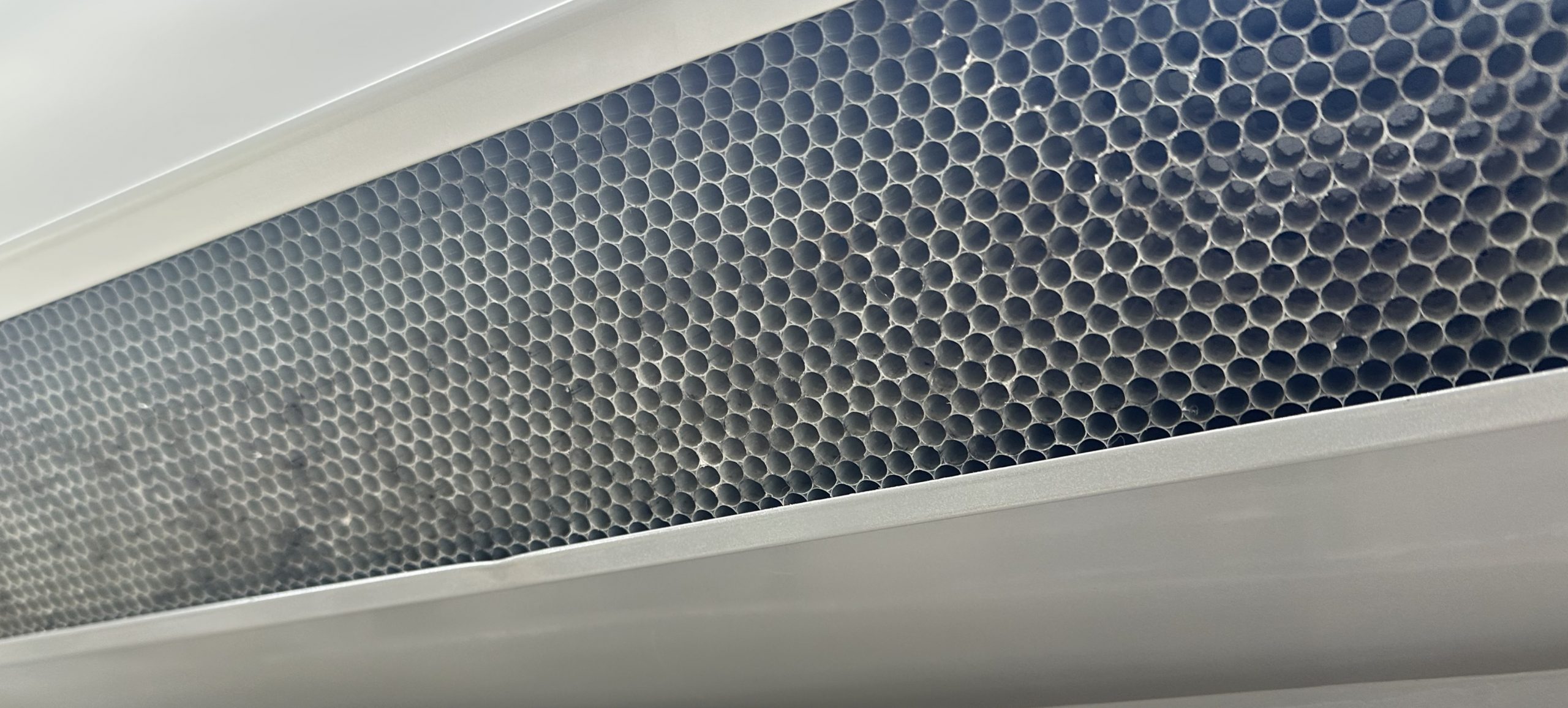 Schimmelspuren auf der Vorderseite