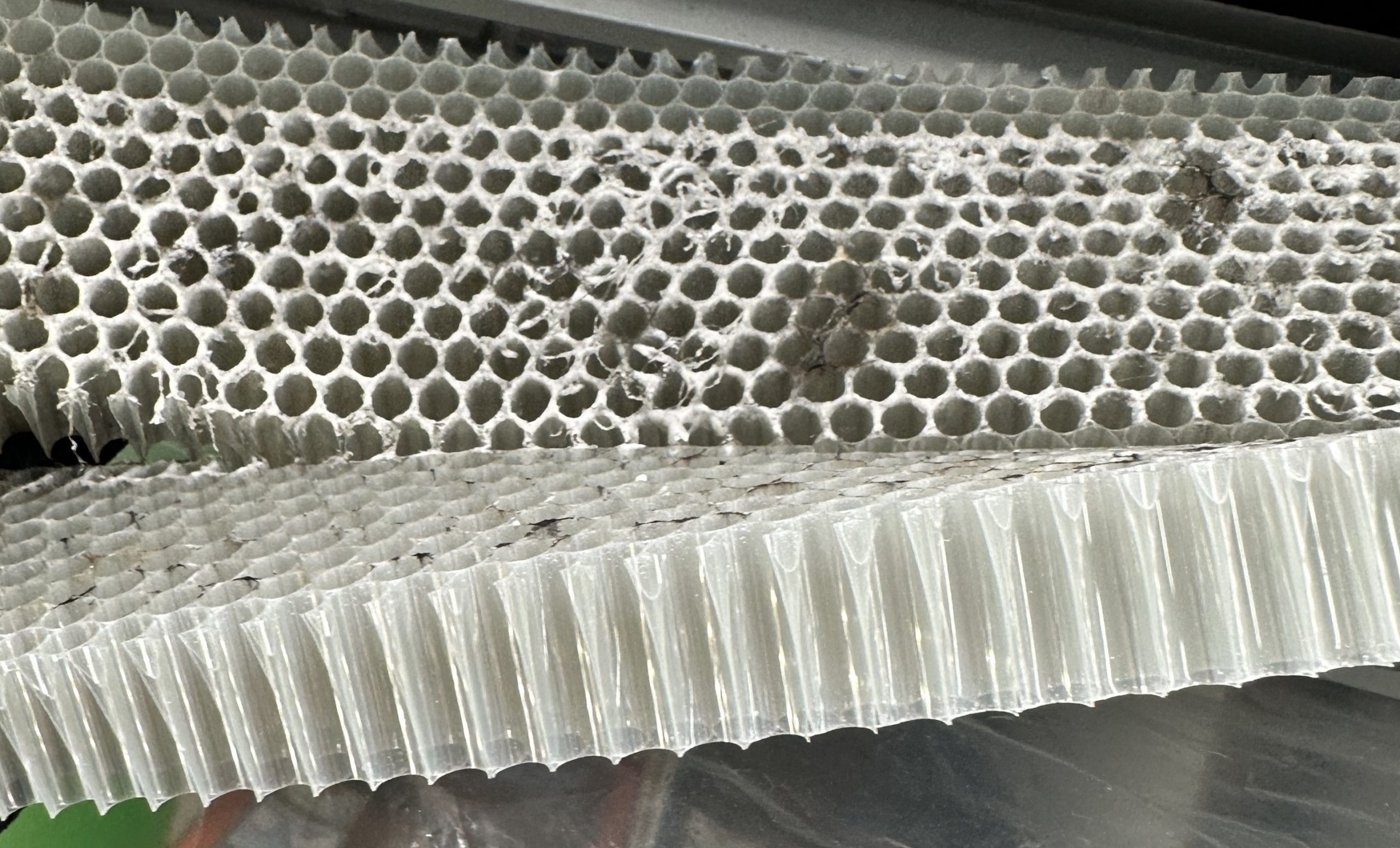 Schimmel bei Molkerei und Fleisch- und Wurstwaren