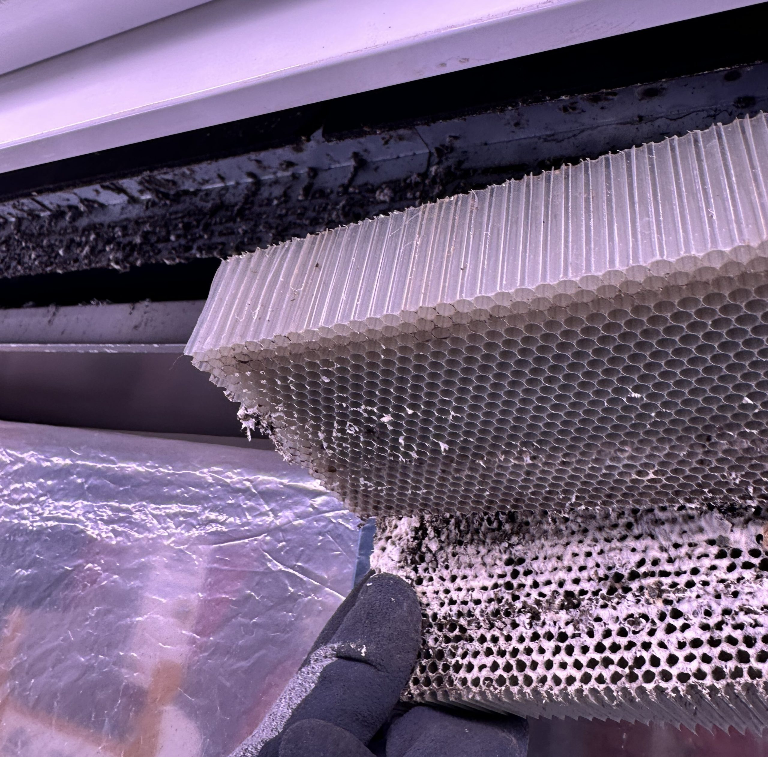 Schimmel und Bakterien im Wurst- und Fleischproduktebereich