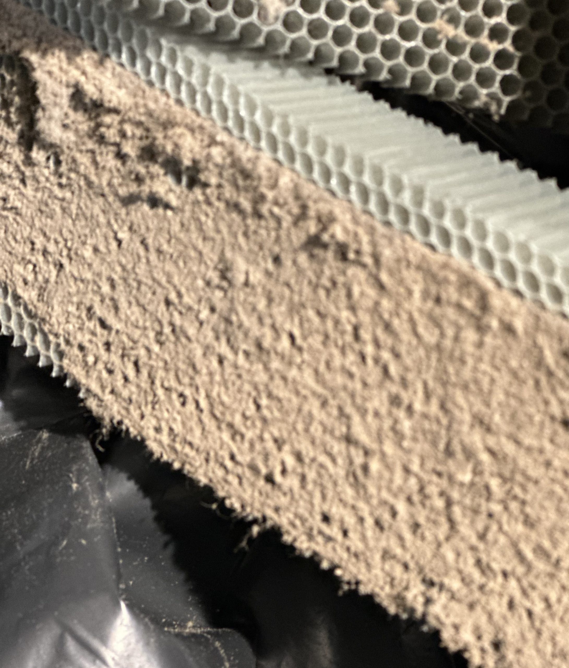 Starker Schimmel - Obst und Frischebereich